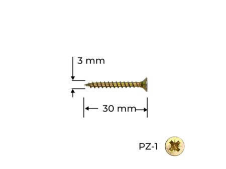 Surub Reisser 3.0 x 30 100 buc