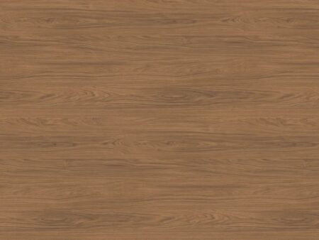 Stejar Casella maro H1386 ST40