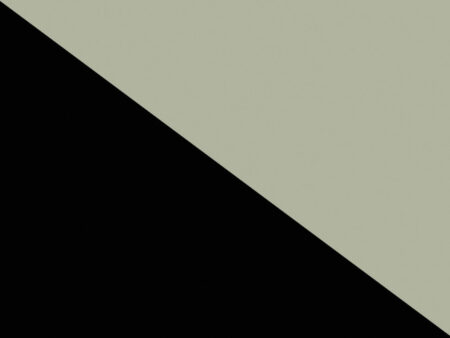 564.64.227 Panou decorativ antistrop Hafele AluSplash colectia Elegance suprafata lucioasa neteda 3300 mm 1