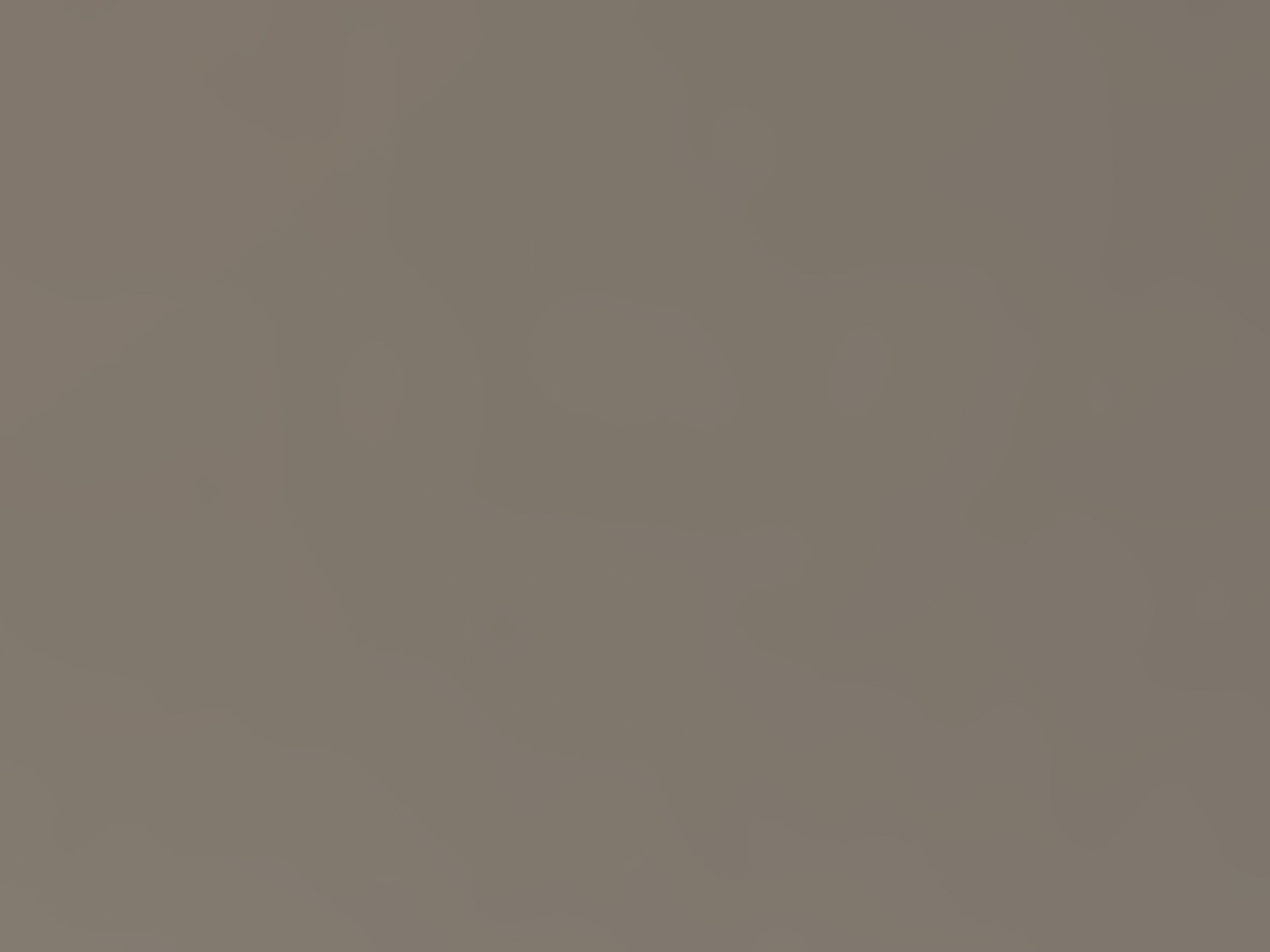 Pal Melaminat CLEAF UA94 ST TALCOFIOCCO 18.6 mm1 Pal Melaminat CLEAF UA94 ST TALCOFIOCCO 18.6 mm1