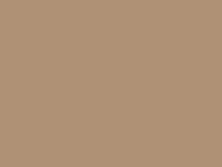Pal Melaminat EGGER TOP MAT Bej Caramel U250 TMST7 18 mm